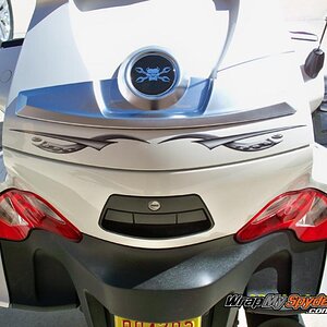 Cosmos Gray back bag