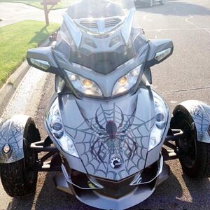 woody web mounted on Gray RT