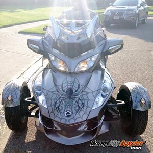 woody web produced on transparent film