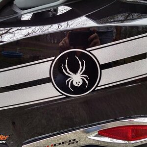 SergeB UM Silver Saddle bag with spider