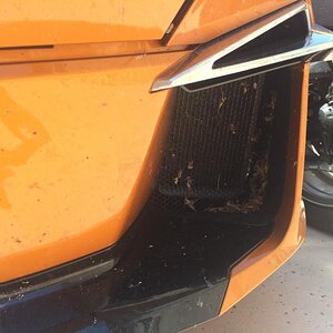 Collected a few bugs on the ride