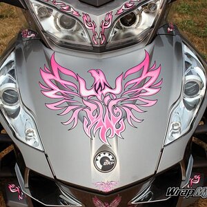 Close up on Magnesium RT