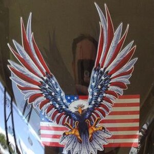 My windshield fave , note the flag behind eagle is on cowling.