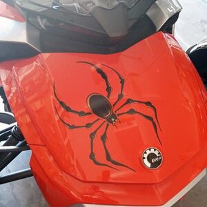 F3 Bellerdine spider