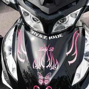 Pink fade Freedom Butterfly kit with extra text