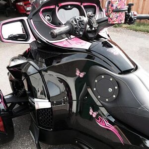 Freedom Butterfly kit Pink Fade with extra text side panels