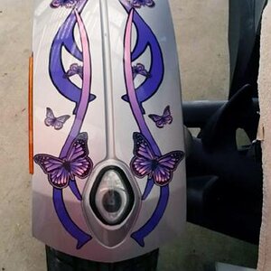 Freedom Butterfly kit Pink Purple classic fenders