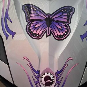 Freedom Butterfly kit Pink Purple Frunk