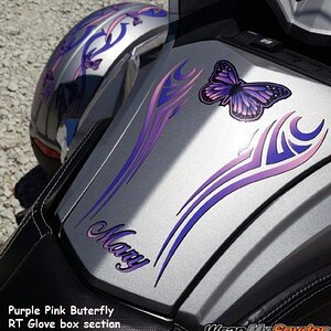 Purple Pink Butterfly glove box w/ extra text