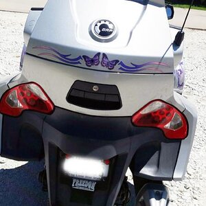 Purple Pink Butterfly rear trunk