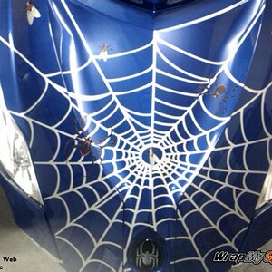 Spider web fly frunk- Silver metallic 4 piece