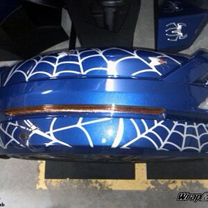 Spider web fly new fenders- Silver metallic