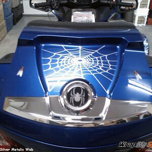 Spider web fly rear trunk