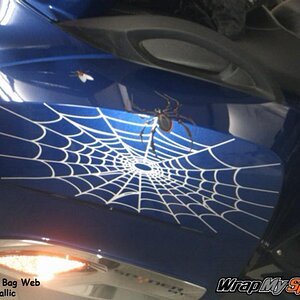 Spider web fly saddle bag