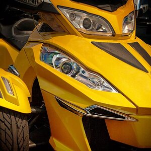 CanAm Fever