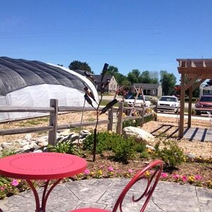 Summer Odessy Michigan Stop