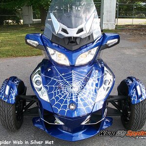 Spider, Web, Fly front web