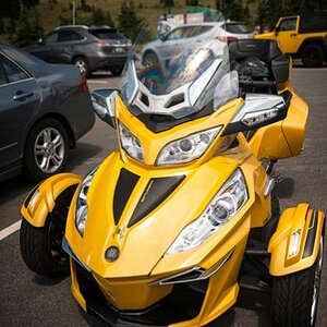 Front Quad Stripe kit in carbon fiber
