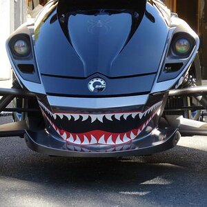 Spyder Teeth decal kit