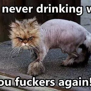 Never drinking again