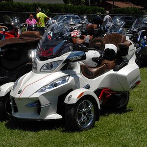 Spyders Galore 5 DRBuckinfront