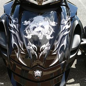 Rockin Panda  graphics for Spyder
