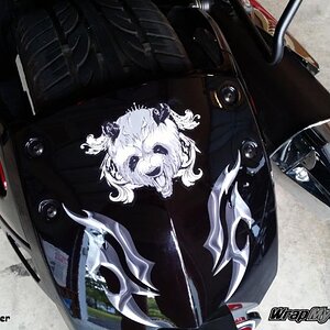 Rockin Panda rear fender