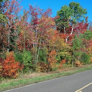 IMG 20140923 102817 324