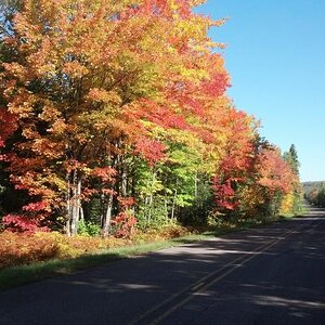 IMG 20140923 103527 603