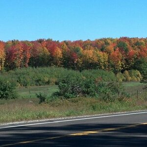 IMG 20140923 120733 677