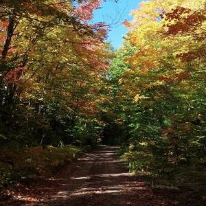 IMG 20140923 152958 473