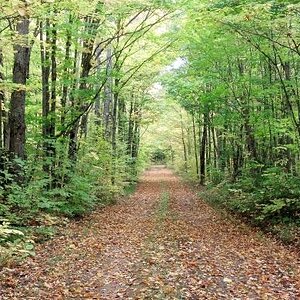 IMG 20140924 120911 834