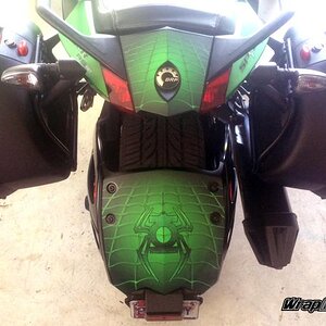Lantern Web tail and rear fender