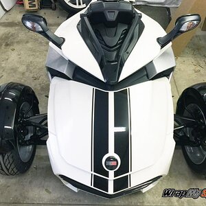 Glossy Black F3 GT Racing Stripe