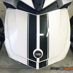 Glossy Black F3 GT Racing Stripe