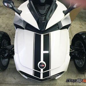 Glossy Black F3 GT Racing Stripe