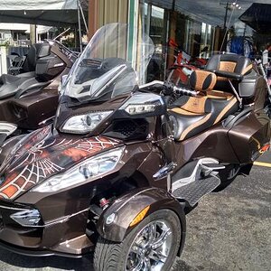 Not mine, but love the graphics! I was considering this wrap. My RT is parked to the left. Great to see it live before purchasing.