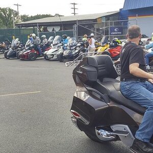 Organized chaos for Friday afternoon run