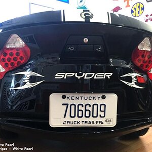 Pearl White Cosmos 1