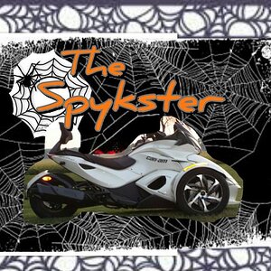 The Spykster in a web.