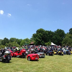 468653 555712731138669 418967046 o