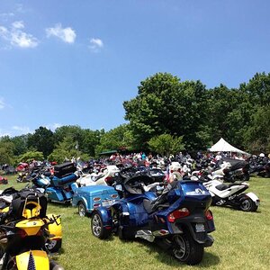 981633 555712654472010 1369389363 o