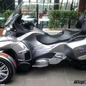 Barbwire Lightning Purple