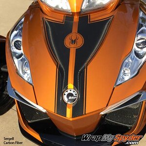 RT carbon fiber frunk 1