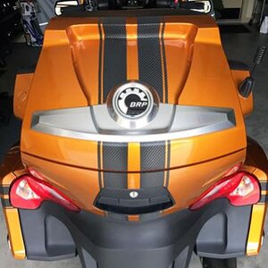 RT carbon rear bags 22