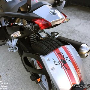 GT Racing Stripe Rear fender UM Red with small Bellerdine spider