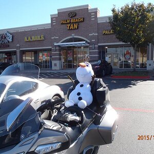Olaf out for a cruise