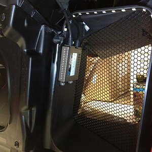 Violet Radiator Lights