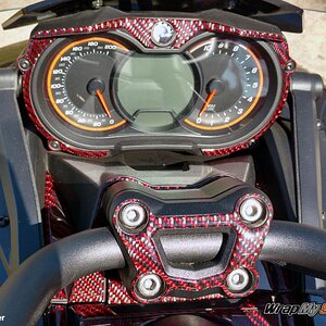 F3 Black Red Carbon Fiber dash