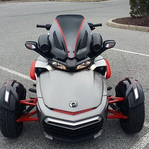 HERE'S LOOKING AT YOU.